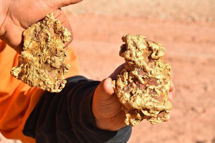 Lucky family of treasure hunters dig up a fortune after finding two giant gold nuggets worth 0,000