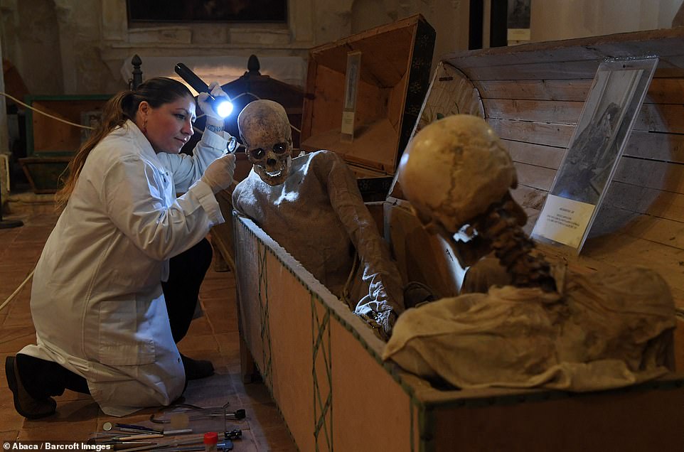 An expert uses a torch to inspect one of the mummies which is sat in a coffin across from another. Over time, Sicily is set to reveal a real research laboratory on mummification