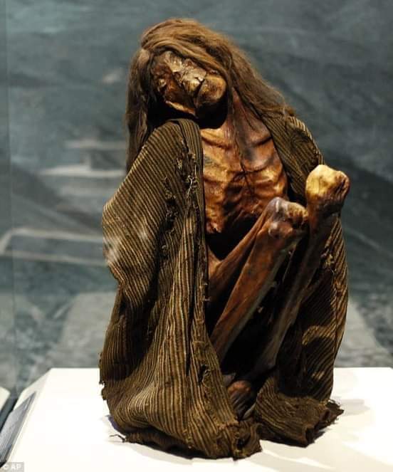 A adult female mummy, Pre- Columbian before 1400 AD. She has tattoos on each breast and one on her face.Mummies of the World Exhibition, California Science Center in Los Angeles. : r/archeologyworld