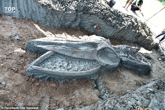 The immaculately preserved remains of a 40-foot-long whale (pictured) unearthed off the coast of Thailand is thought to be between around 3,000–5,000 years old, experts said